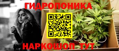 гидра Свободный