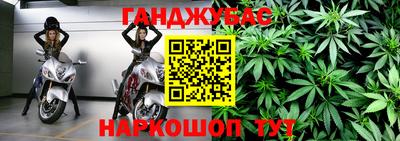 гидра Свободный